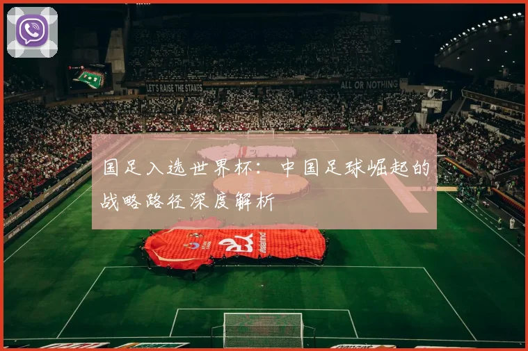 国足入选世界杯：中国足球崛起的战略路径深度解析