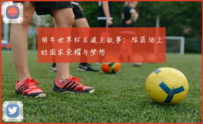 明年世界杯东道主故事：绿茵场上的国家荣耀与梦想