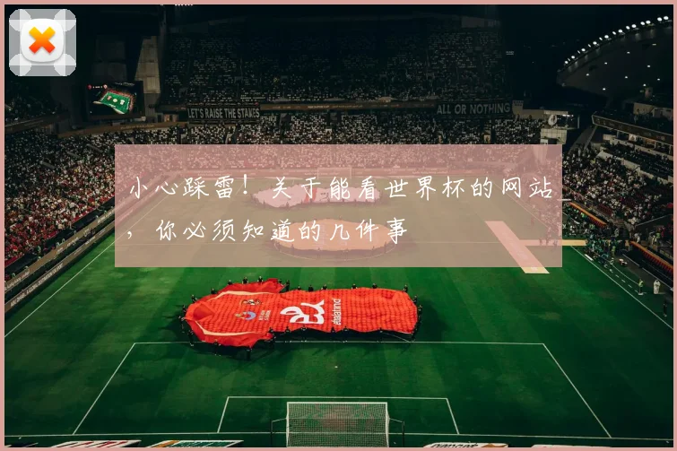 小心踩雷!关于能看世界杯的网站,你必须知道的几件事