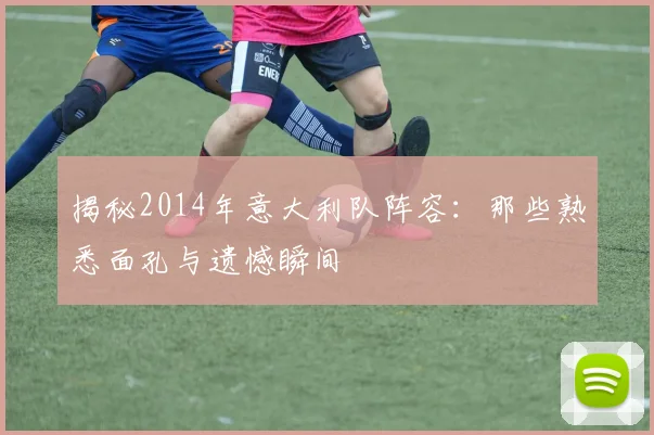 揭秘2014年意大利队阵容:那些熟悉面孔与遗憾瞬间