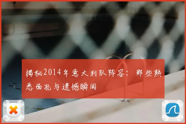 揭秘2014年意大利队阵容:那些熟悉面孔与遗憾瞬间