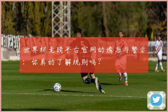 世界杯竞猜平台官网的诱惑与警示：你真的了解规则吗？