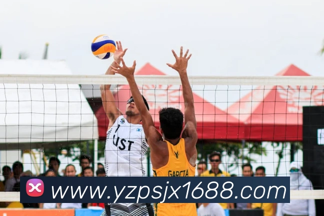 九游网官网登录入口平台生态图